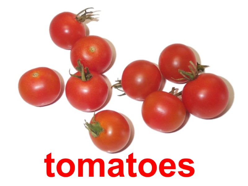 tomatoes